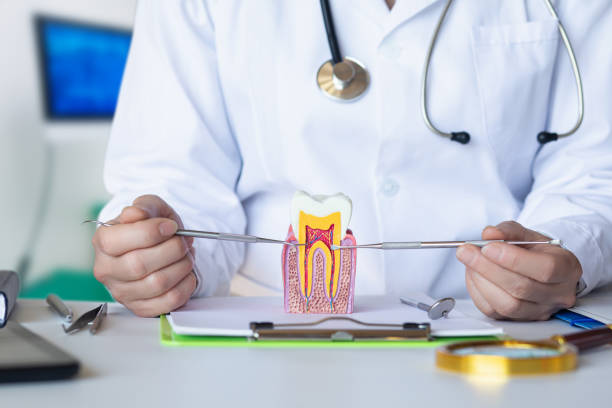 Best Dental Abscess Treatment in Mvern, AL